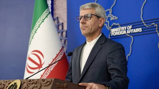 سخنگوی هیئت مذاکره کننده ایران: نشست ما برای بیان موارد نقض در تفاهم‌نامه و پیداکردن راه‌حل برای آن است